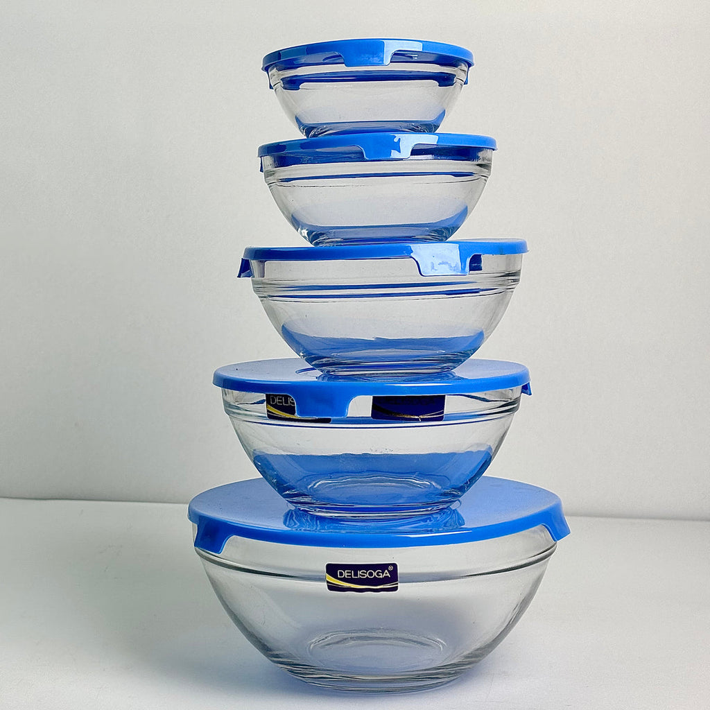 5 PCS Bowl Set With Lid