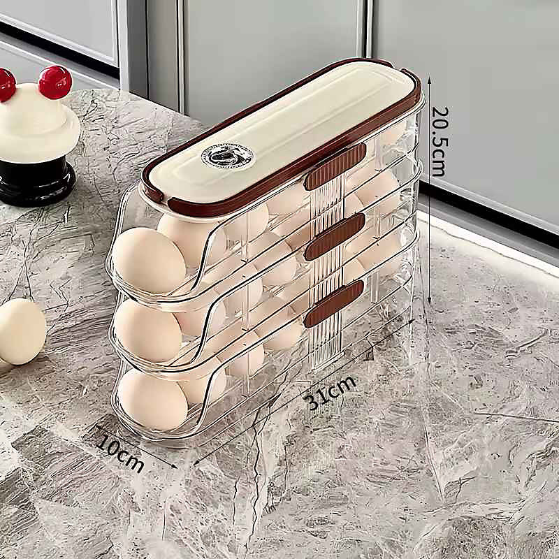 EGG TRAY BOX