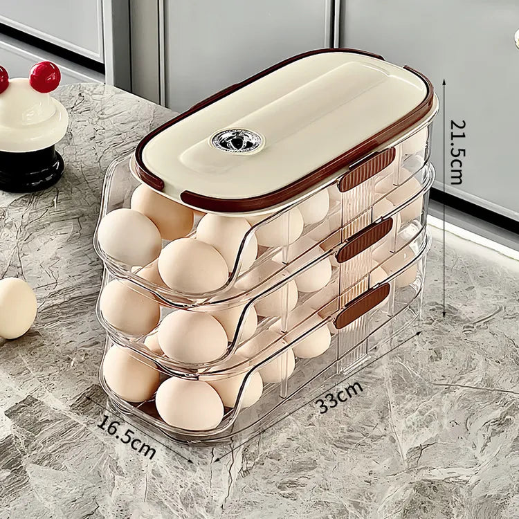 EGG TRAY BOX