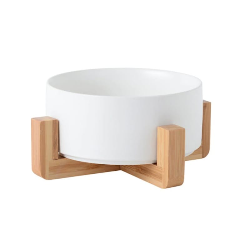 Salad, Snacks, Ceramic Food Bowl