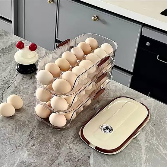 EGG TRAY BOX